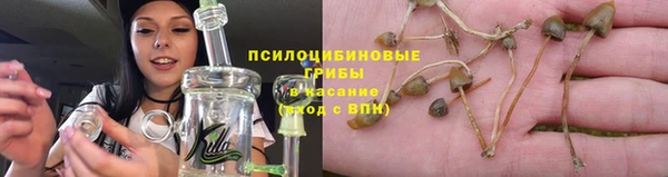 хмурый Козловка